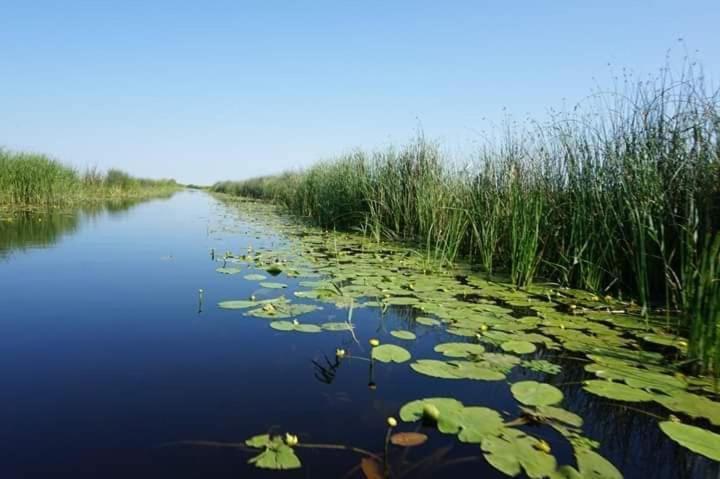 Apartament 2 Camere Semidecomandat "La Gicu" Sulina Buitenkant foto
